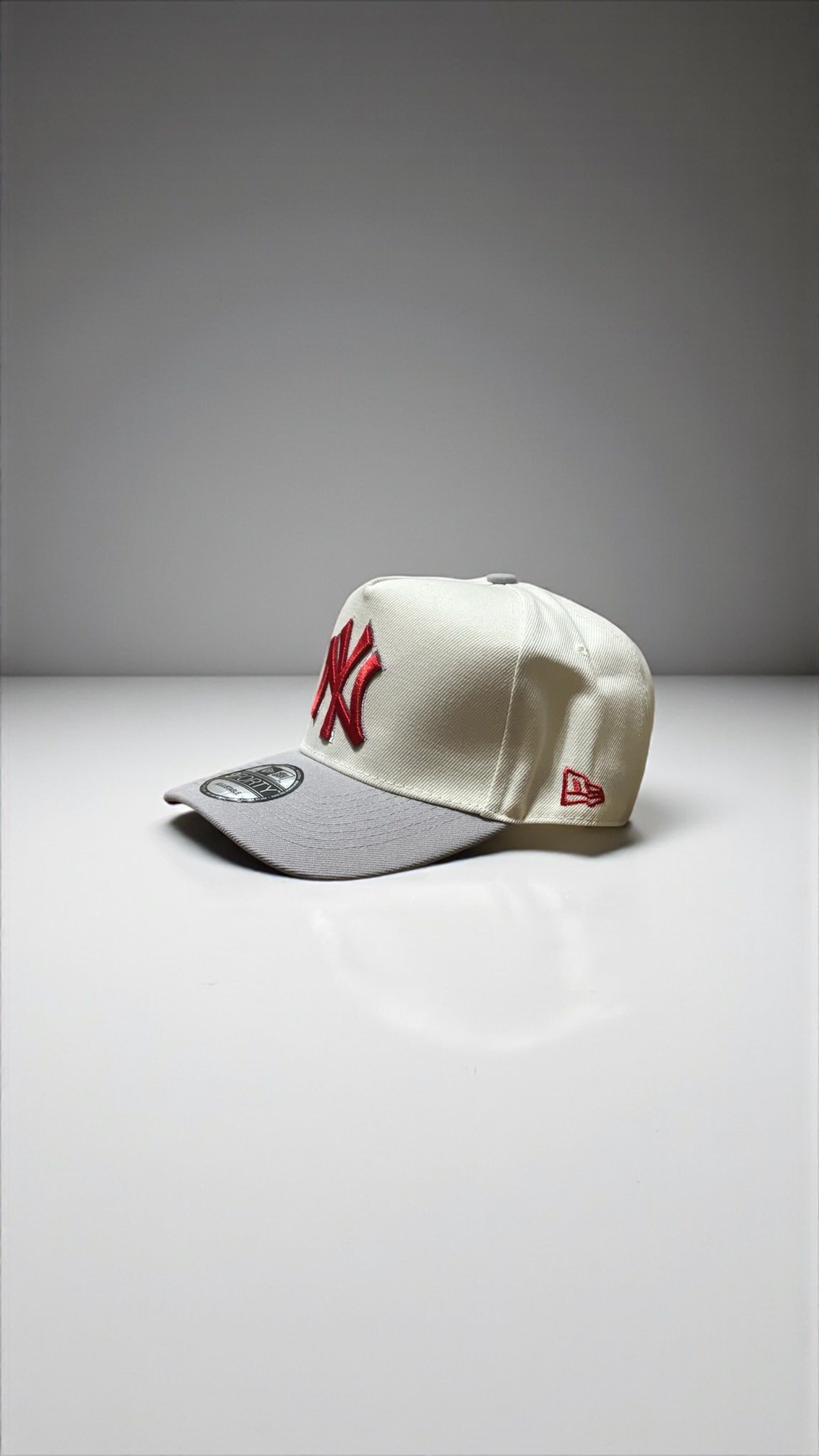 NY Yankees 2024 World Series Edition