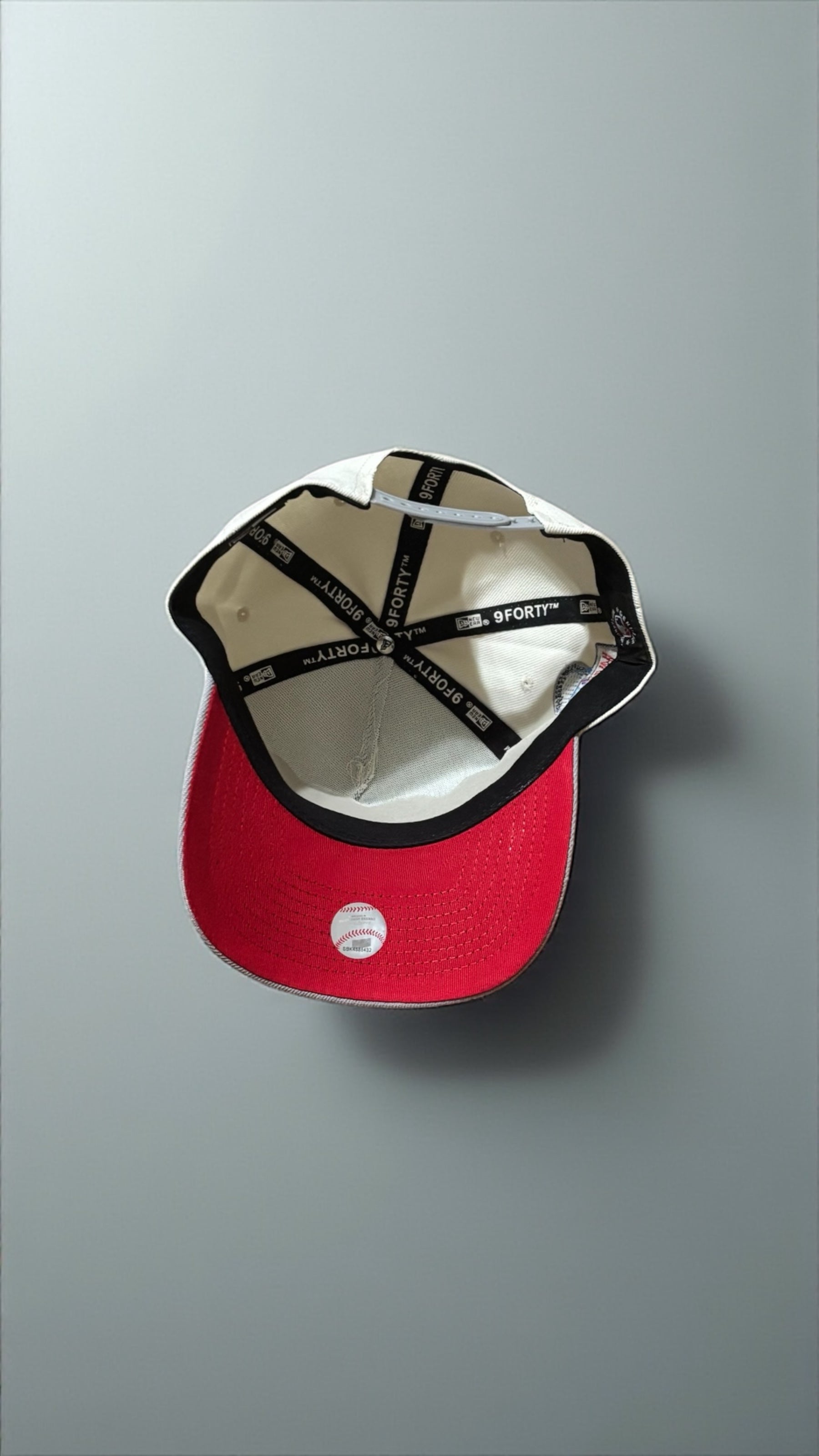 NY Yankees 2024 World Series Edition